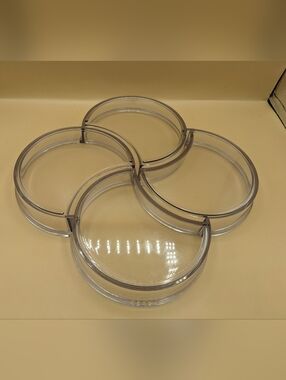 Vintage MCM Dansk Designs Snack Tray Gunnar Cyren Clear Mid Century Modern